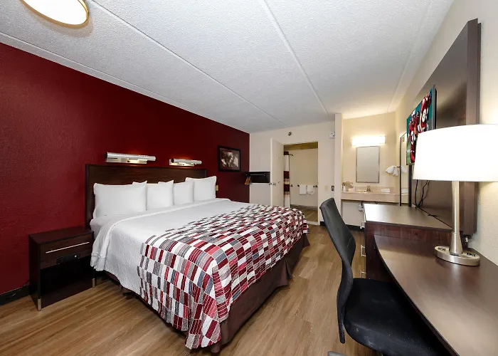Red Roof Inn Tampa - Brandon